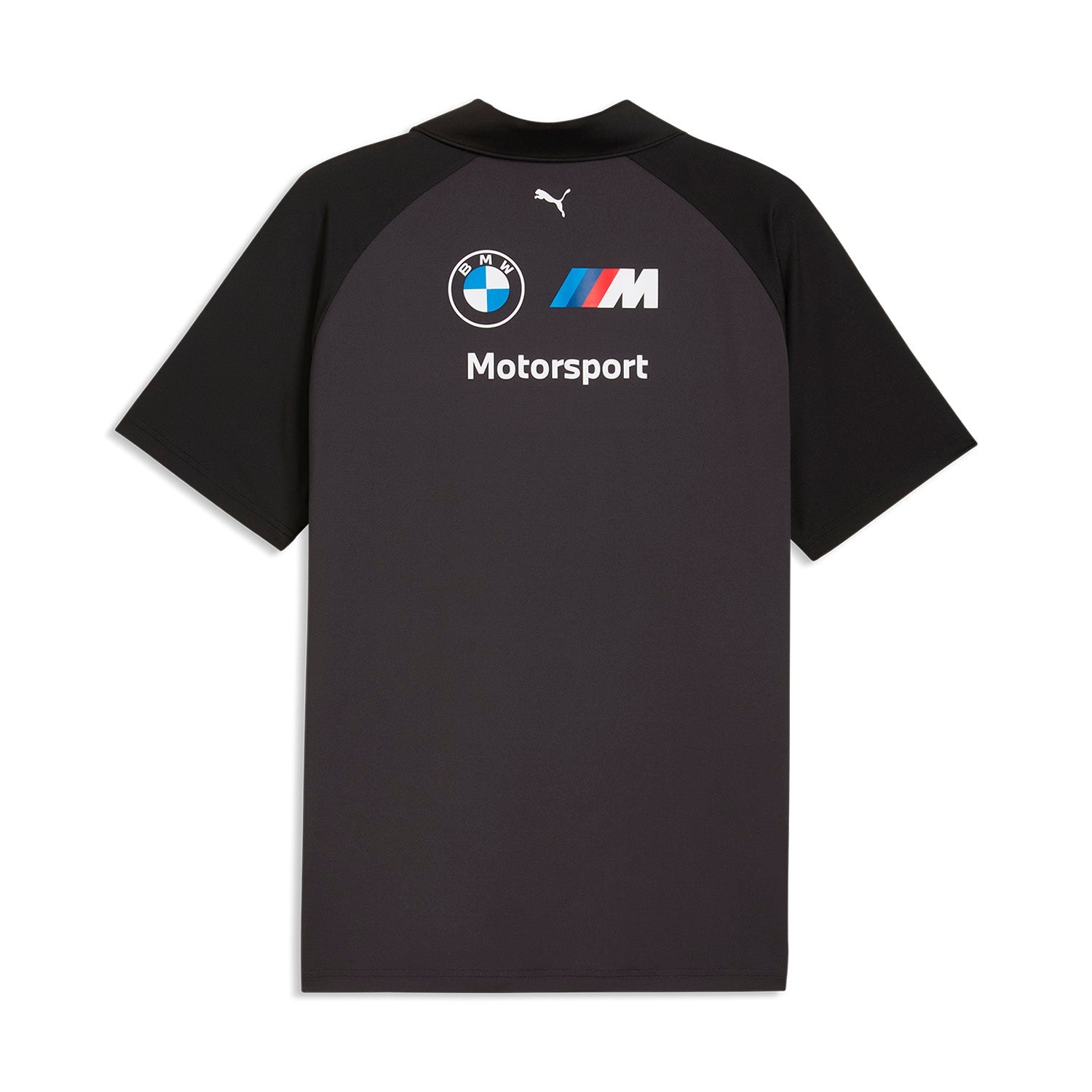 2026 Team Polo